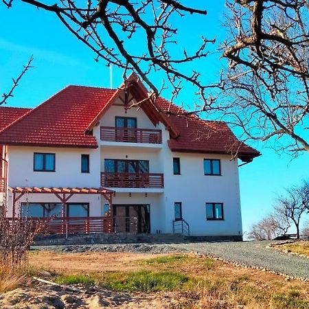 مبيت وإفطار Surdesti  Casa Comilor المظهر الخارجي الصورة