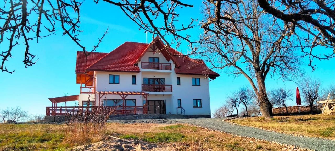 مبيت وإفطار Surdesti  Casa Comilor المظهر الخارجي الصورة