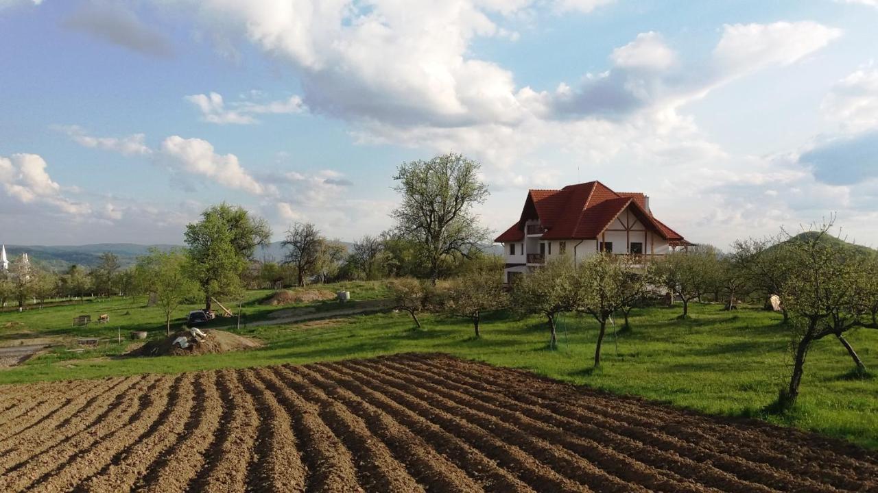 مبيت وإفطار Surdesti  Casa Comilor المظهر الخارجي الصورة